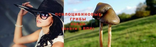 apvp Алексеевка