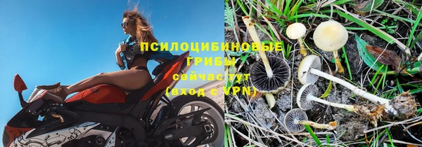 бутират Алзамай